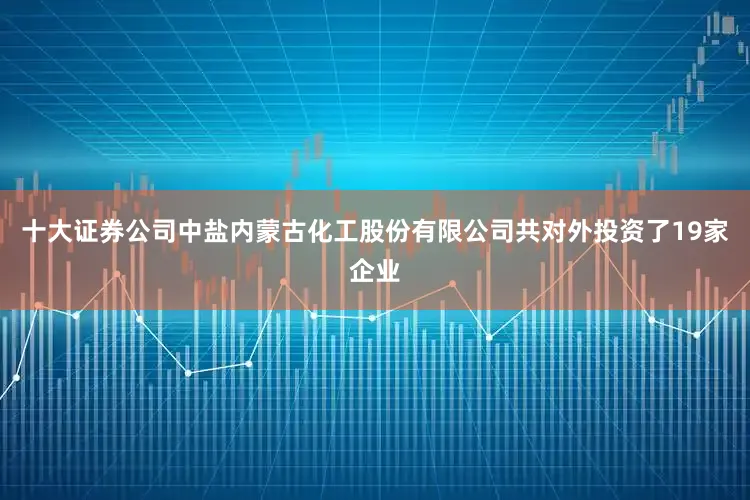 十大证券公司中盐内蒙古化工股份有限公司共对外投资了19家企业