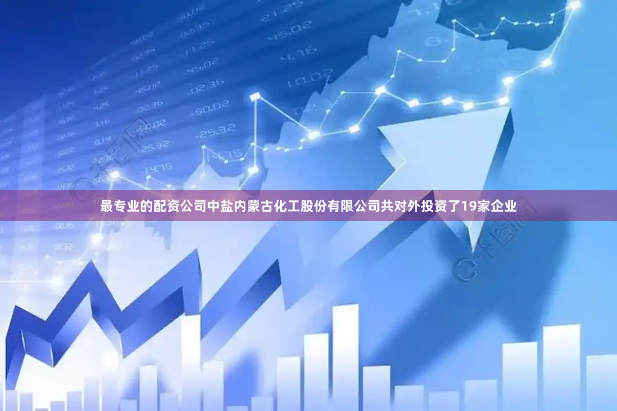 最专业的配资公司中盐内蒙古化工股份有限公司共对外投资了19家企业