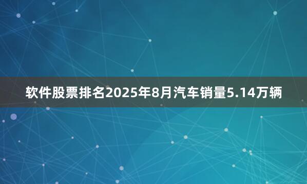 软件股票排名2025年8月汽车销量5.14万辆