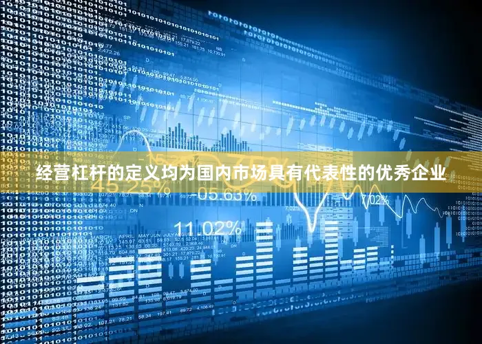 经营杠杆的定义均为国内市场具有代表性的优秀企业